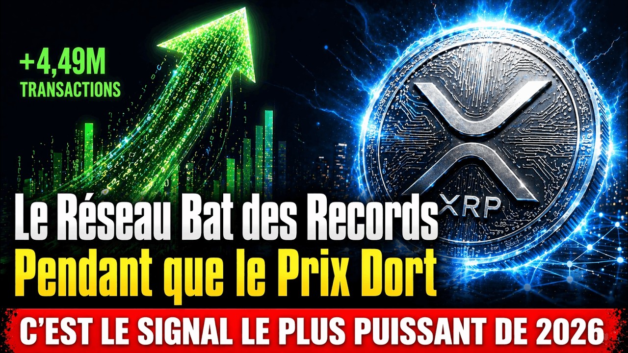 XRP : Le Réseau Bat des Records Pendant que le Prix Dort — C'est le Signal le Plus Puissant de 2026