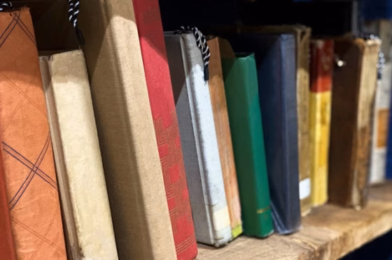 Tenue de livres à Hamilton : comment choisir son prestataire